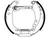 Zapata de freno Brake Shoe Set:4241.8J